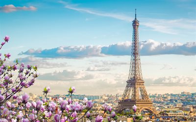parigi, torre eiffel, primavera, sera, magnolia, paesaggio urbano di parigi, fioritura di magnolia, francia
