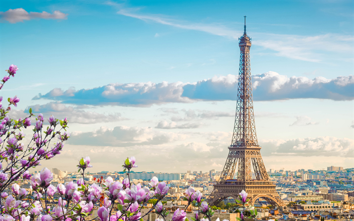 paris, eiffelturm, fr&#252;hling, abend, magnolie, pariser stadtbild, magnolienbl&#252;te, frankreich