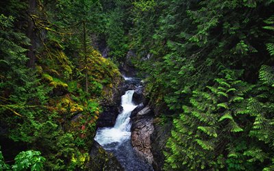 rio de montanha, cachoeira, rochas, floresta, &#225;rvores verdes, meio ambiente, bela cachoeira, montanhas