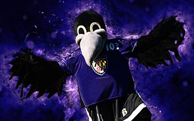 Poe, 4k, mascota, Ravens de Baltimore, el arte abstracto, de la NFL, creativo, estados UNIDOS, Baltimore Ravens mascota de la Liga Nacional de F&#250;tbol americano, la NFL, mascotas, mascota oficial