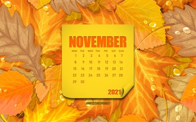 Calendario di novembre 2021, sfondo autunnale con foglie, novembre, sfondo foglie autunnali, calendario novembre 2021, concetti 2021