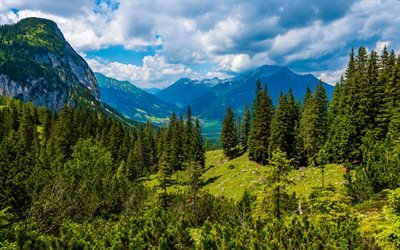 山の風景, 夏, アルプス, 渓谷, 緑の木々, チロル, Reutte, オーストリア