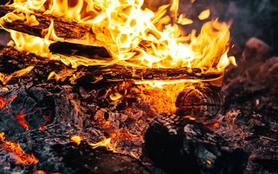 bonfire, burning flame, smoldering coal, burning tree, fire