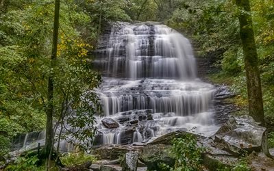 beautiful forest waterfall, wildlife, secret places, Earth, waterfall