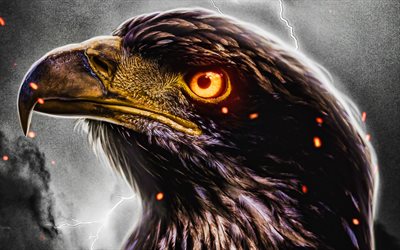 Aquila reale, 4k, fauna selvatica, occhi di fuoco, opere d&#39;arte, aquile, Aquila chrysaetos, uccello rapace, uccelli predatori, creativo, aquila astratta