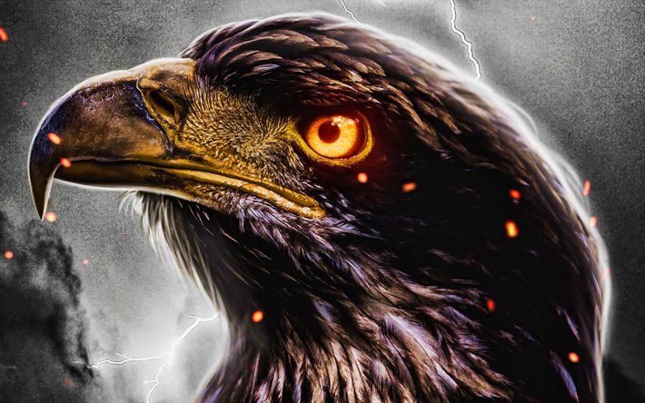 Golden eagle, 4k, wildlife, fiery eyes, artwork, eagles, Aquila chrysaetos, bird of prey, predatory birds, creative, abstract eagle