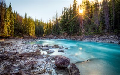 skogen, berg river, vackert landskap, Kanada, stenar