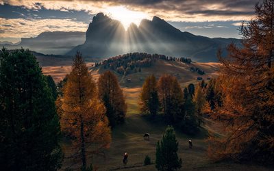 Dolomites, sunset, mountain landscape, rocks, valley