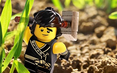 The Lego Ninjago Movie, Cole, 2017 movie, 3d-animation