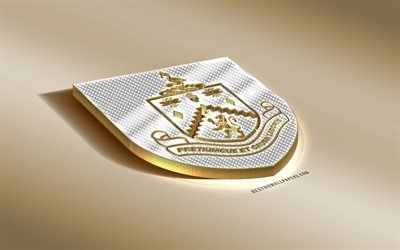 Burnley FC, Clube de futebol ingl&#234;s, ouro logotipo com prata, Caldas, Inglaterra, Premier League, 3d emblema de ouro, criativo, arte 3d, futebol, Reino Unido