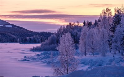 winter landscape, sunset, evening, forest, snow, winter