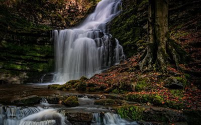 Inglaterra, cachoeiras, outono, penhascos, bela natureza, Durham, Reino Unido, Europa
