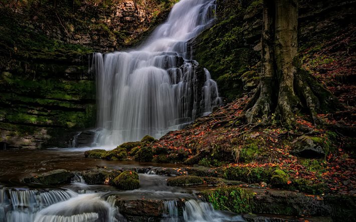 England, vattenfall, h&#246;st, klippor, vacker natur, Durham, Storbritannien, Europa