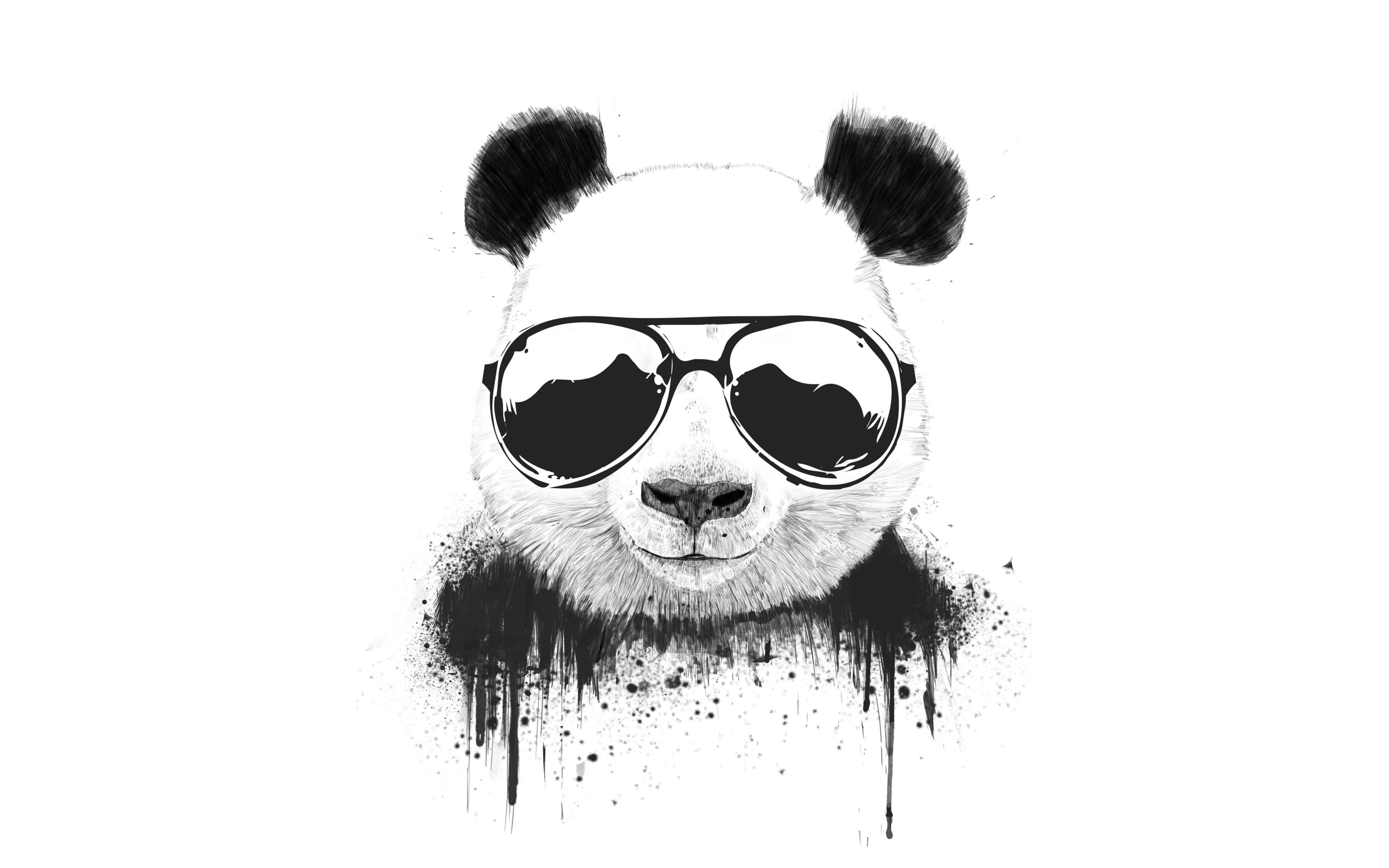 Download wallpapers funny panda 4k cartoon animals minimal white  