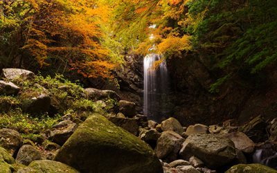 cachoeira, floresta, outono, paisagem de outono, rock