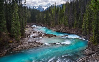 mountain river, forest, mountain landscape, beautiful landscape, Canada, glacial water