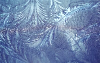 frost sininen tekstuuri, pakkanen kuvioita rakenne, blue frost tausta, pakkanen kuvioita, j&#228;&#228;n taustalla