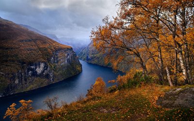 fjord, syksyn maiseman, keltainen puita, kiviä, syksy, aamulla, pilvinen sää, syksy sää, Norja