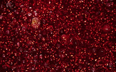 raspberry jam, macro, food textures, jam textures, shortbread backgrounds, raspberry jam texture