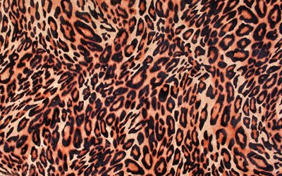 leopard texture, close-up, pelle di leopardo texture, marrone macchie di texture, macro, pelle di leopardo, leopardo sfondo, leopard lana, pelle di leopardo sfondo