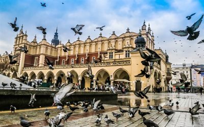 The Cloth Hall, square, Krakow, many pigeons, fountain, Krakow cityscape, Poland