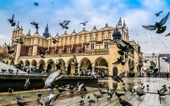 La Halle aux Draps, place, Cracovie, de nombreux pigeons, fontaine, paysage urbain de Cracovie, Pologne