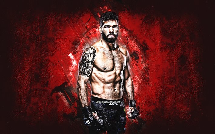 Raphael Assuncao, MMA, UFC, Brazilian fighter, red stone background