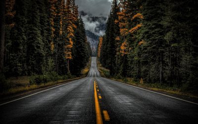 el asfalto de la carretera, bosque, carretera, estados UNIDOS, Monta&#241;a