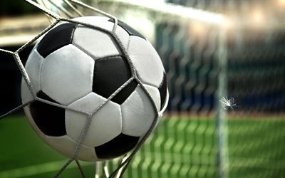 soccer ball, net, goal, football, football stadium
