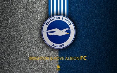 Brighton and Hove Albion FC, 4k, English football club, leather texture, Premier League, logo, emblem, Brighton and Hove, England, United Kingdom, football