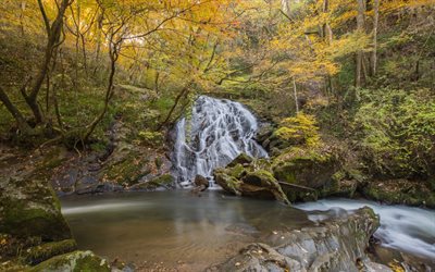 forest waterfall, autumn, lake, forest, autumn landscape, beautiful waterfall