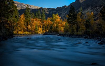 Naches River, mountain river, autumn, sunset, forest, mountain landscape, USA, Washington State