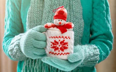 Christmas, snowman, plush toy, New Year, mug in hand, winter, green sweater