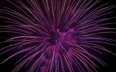 purple fireworks, night sky, holiday, festival, fireworks