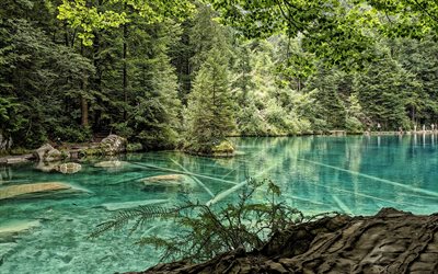 Blausee, montagna, lago, foresta, montagne, laghi bellissimi, Berna, in Svizzera, il Parco naturale di Blausee, Blausee-Mitholz