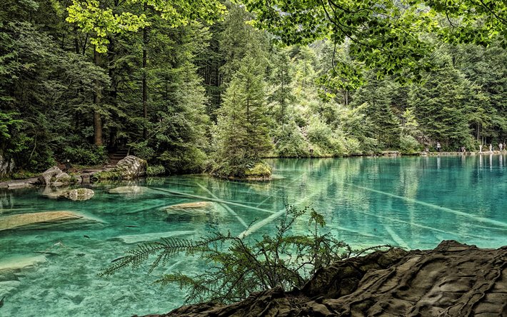 Blausee, mountain lake, forest, mountains, beautiful lakes, Bern, Switzerland, Nature Park Blausee, Blausee-Mitholz