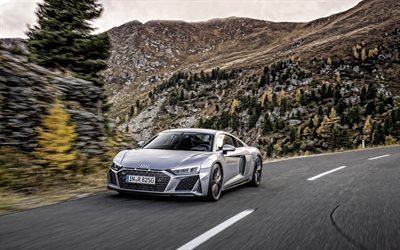 Audi R8 RWD, 2020, 4k, exterior, silver sports coupe, front view, new silver R8 RWD, German sports cars, Audi