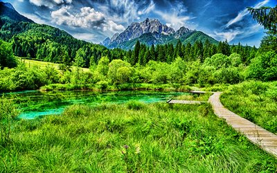 Lago Zelenci, HDR, Kranjska Gora, Planica Vale, bela natureza, Eslov&#233;nia, Europa, montanhas, ver&#227;o
