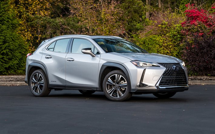Lexus UX, exterior, front view, compact crossover, new silver UX, japanese cars, UX 250h, Lexus
