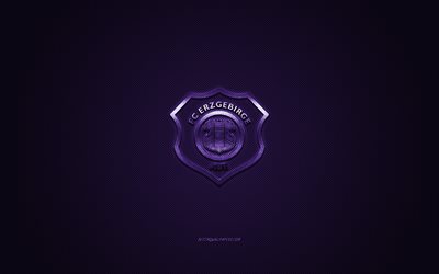 FC Erzgebirge Aue, Italian football club, Bundesliga 2, purple logo, viola carbon fiber background, football, Aue, Germany, FC Erzgebirge Aue logo