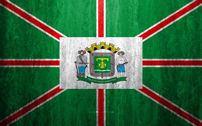 Flag of Goiania, 4k, stone background, Brazilian city, grunge flag, Goiania, Brazil, Goiania flag, grunge art, stone texture, flags of brazilian cities