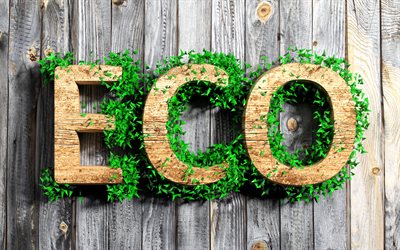 Eco, 4k, 3d letters, ecology, wooden background, eco concept
