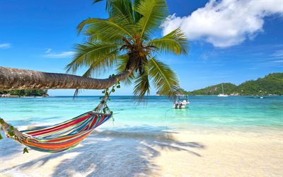 tropical islands, beach, summer travel, summer, palm trees, boat
