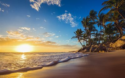 ocean, beach, sunset, tropical islands, palms, evening, waves