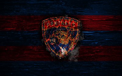 Florida Panthers, fire logo, NHL, blue and red lines, american hockey team, grunge, hockey, logo, Florida Panthers wallpaper, Eastern Conference, wooden texture, USA