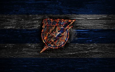 Tampa Bay Lightning, fogo logotipo, NHL, azul e branco, linhas, americana time de h&#243;quei, grunge, h&#243;quei, logo, Tampa Bay Lightning papel de parede, Confer&#234;ncia Leste, textura de madeira, EUA