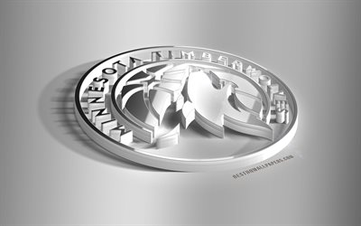 Minnesota Timberwolves, 3D steel logo, American Basketball Club, 3D emblem, NBA, Minneapolis, Minnesota, USA, Timberwolves metal emblem, National Basketball Association, creative 3d art, basketball
