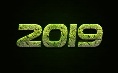 2019 year, green creative letters, 2019 green background, Happy New Year, dark wood texture, 2019 creative art, 2019 concepts