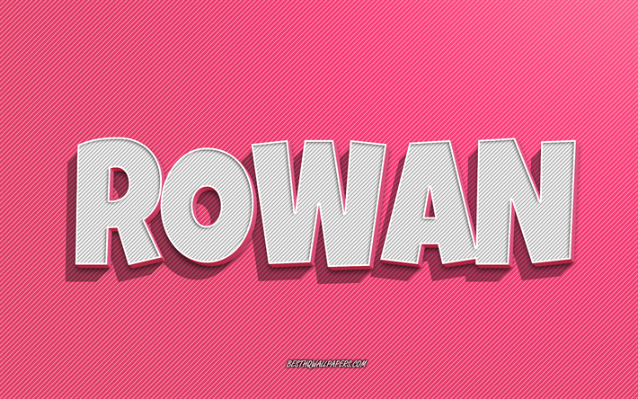 Rowan, fond de lignes roses, fonds d&#39;&#233;cran avec des noms, nom Rowan, noms f&#233;minins, carte de voeux Rowan, dessin au trait, photo avec le nom Rowan