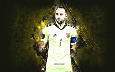 David Ospina, Colombia national football team, Colombian footballer, goalkeeper, portrait, yellow stone background, Colombia, football